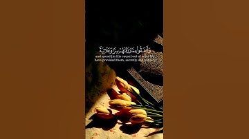 إن الذين يتلون كتاب الله|🤲🏼✨️| #القرآن_الكريم #راحة_نفسية #تلاوة_خاشعة