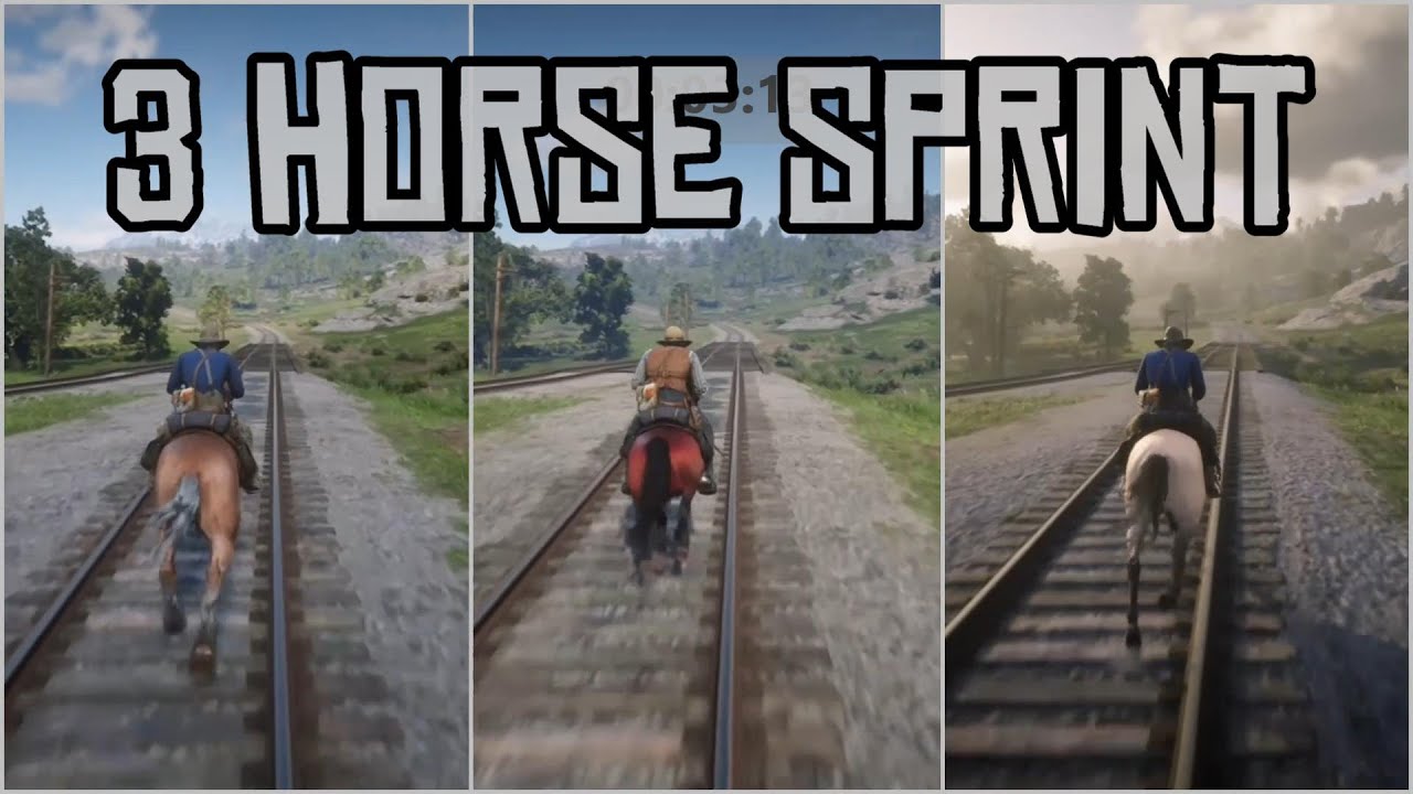 3 WAY SPRINT RACE Belgian Draft vs Red Arabian vs Buttermilk Kentucky