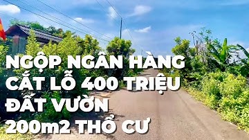 Ngộp Ngân Hàng A Lới Hạ Giá Cần Bán Gấp Đất Vườn Ở Bà Rịa Vũng Tàu Còn 2 tỷ 8