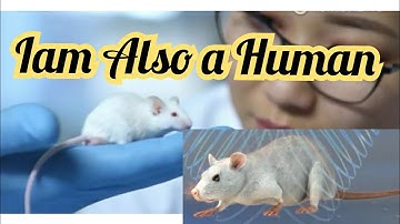 Scientists made chimera Mice as a part of human cells.