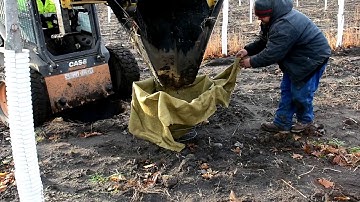 How to Harvest Trees - From Ground to Transport