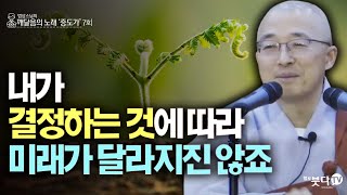 내가 결정하는 것에 따라 미래가 달라지진 않죠 | 법상스님의 증도가 7회(4-1) | 분별 세상 깨달음 집착 고통 종교 지혜 행복 의사소통 부처 도움 현실 존재 인연