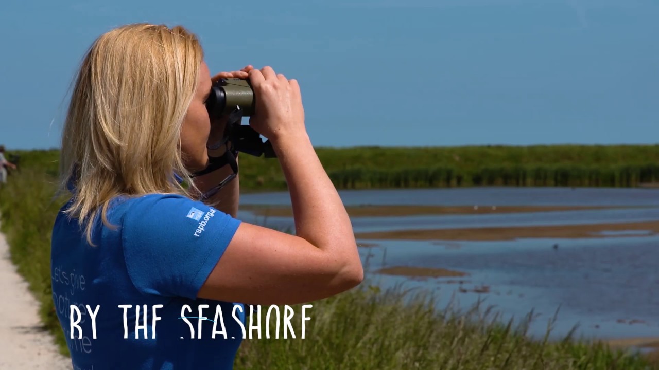 The best birdwatching in the UK, Norfolk, UK YouTube