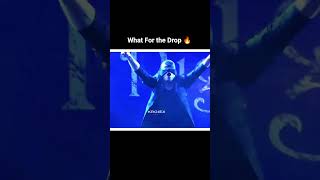 Track ID :KROJEX - Dua Lulet ne Dritare #technodance #electronicmusic #edm #trance #dj