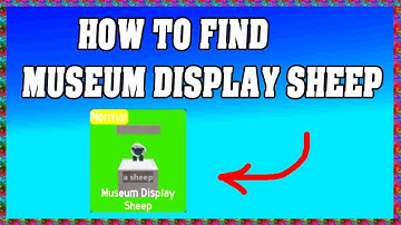 How To Find MUSEUM DISPLAY SHEEP in FIND THE SHEEP ROBLOX 🐑