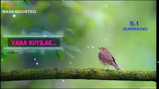 Vana Kuyile ~ Priyanka ~ ILAYARAJA 🎼 5.1 SURROUND 🎧BASS BOOSTED 🎧 SVP Beats ~ Voice Of SPB