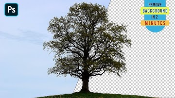 How to Cut Out a Tree in Photoshop in 2 Minutes | Remove Trees Background Step-by-Step Guide 2023