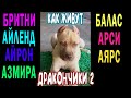 ВСЕ ДРАКОНЧИКИ 2 !!! ЩЕНКИ ПИТБУЛЯ В НОВЫХ СЕМЬЯХ. Бритни,Балас,Айрон,Арси,Азмира,Айленд,Аярс.