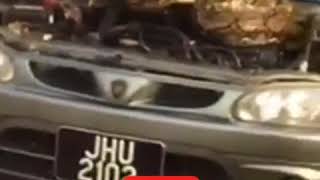 snake in car engine