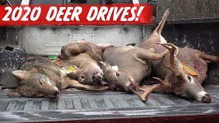 CRAZY DEER DRIVES! Rifle Hunting Whitetail Deer 2020
