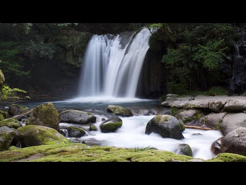 🎹-splashy-|-zen-piano:-summer-|-trevor-loucks