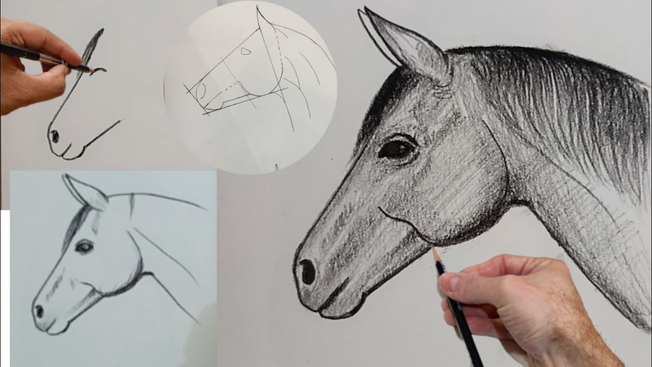 Easy Horse Drawing Tutorial 🐴 | Learn to Sketch Like a Pro!"