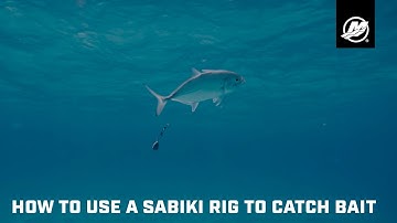 How to Use a Sabiki Rig to Catch Bait