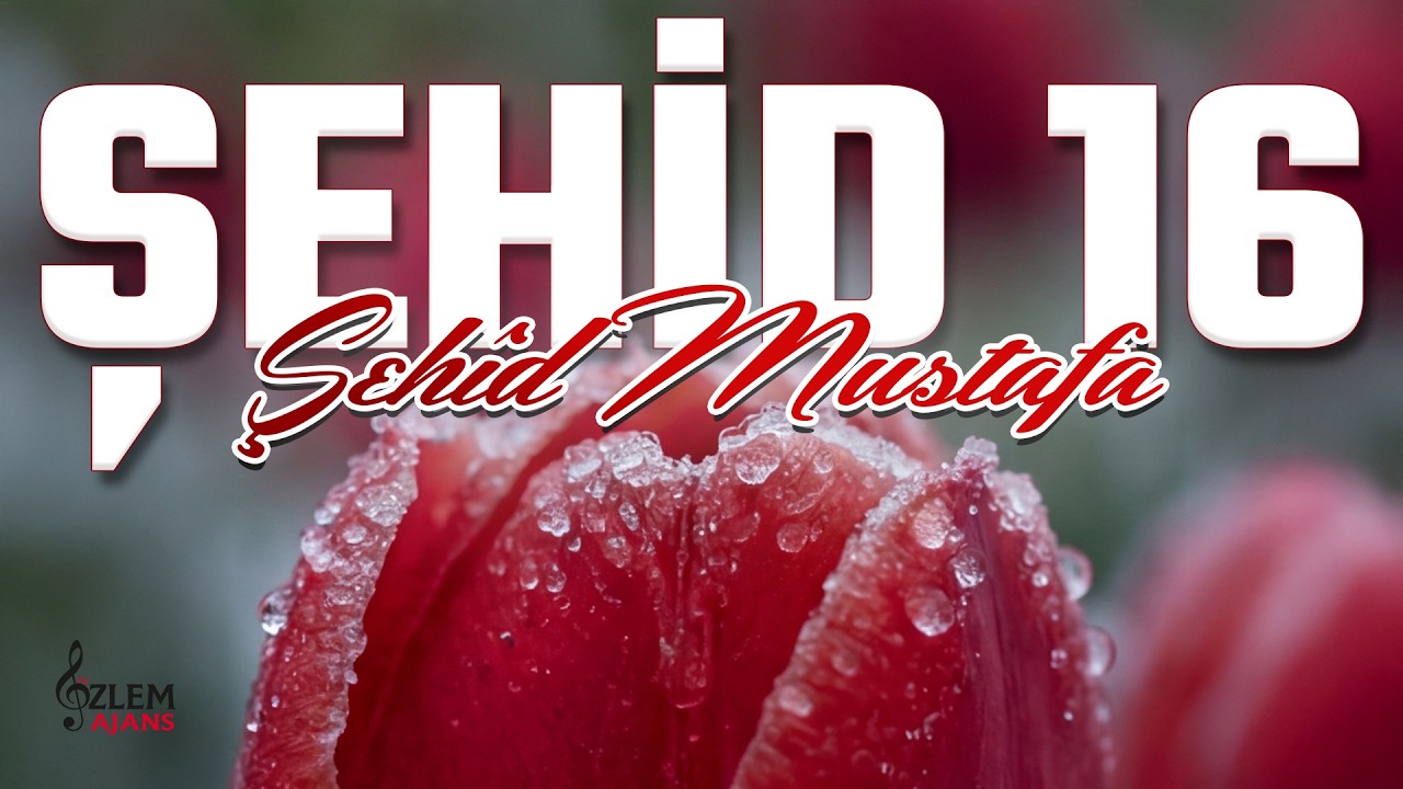 Şehid 16 Albümü | Şehid Mustafa | Metin Kiraz | Özlem Ajans