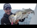 SO MANY FISH!! Epic Reef & Wreck Fishing with Lures!!