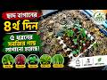 ছাদ বাগানের ৪র্থ দিন ৫ ধরনের সবজির গাছ লাগালাম | Day 4 Rooftop Garden Planted 5 Types of Vegetables