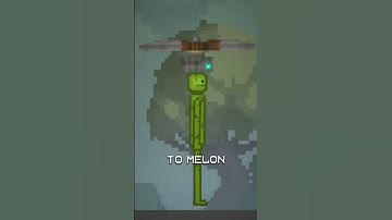 How much does Melon weigh in Melon Sandbox?