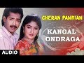 Kangal Ondraga Song | Cheran Pandiyan Songs | Sarath Kumar, Srija, Soundaryan | Tamil Old Songs