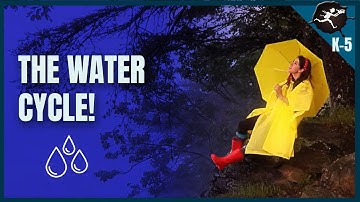 How Do Rain Clouds Form? The Water Cycle! K-5 Science Music Videos by Untamed Science
