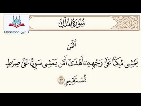 أفمن يمشي مكبا على وجهه أهدى أمن يمشي سويا على صراط مستقيم