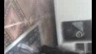 A Mascote Da Fenix Stronda