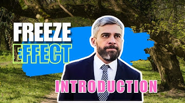 character introduction freeze effect | character introduction freeze effect canva