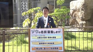 ぞうさんの柄確認です。 Congratulations! Baby elephant 