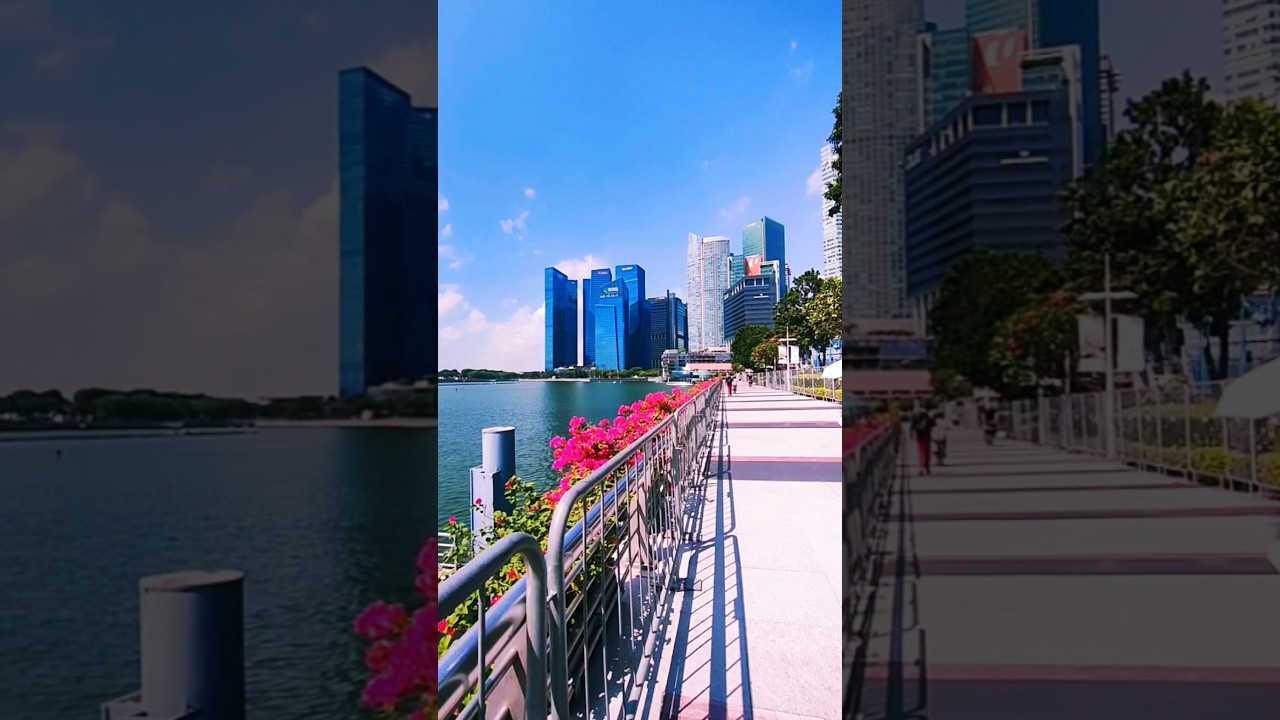 Experience the stunning beauty of Singapore 