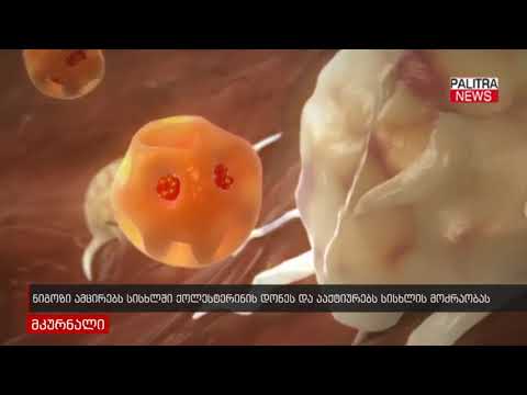 ნიგოზი ამცირებს სისხლში ქოლესტერინის დონეს და ააქტიურებს სისხლის მოძრაობას