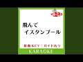 飛んでイスタンブール (カラオケ) (原曲歌手:庄野真代])