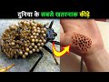 दुनिया के 10 सबसे खतरनाक कीड़े | Most Uncommon Insects Around the World