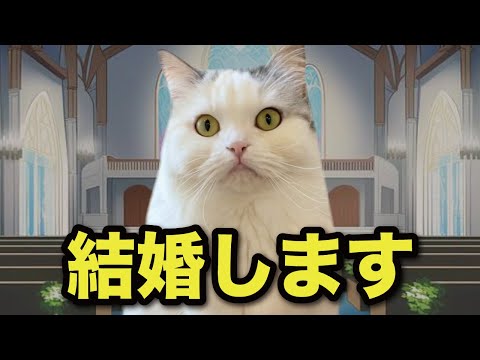 Tsukushi finally gets married [Cat Anime] [Sketch] - YouTube