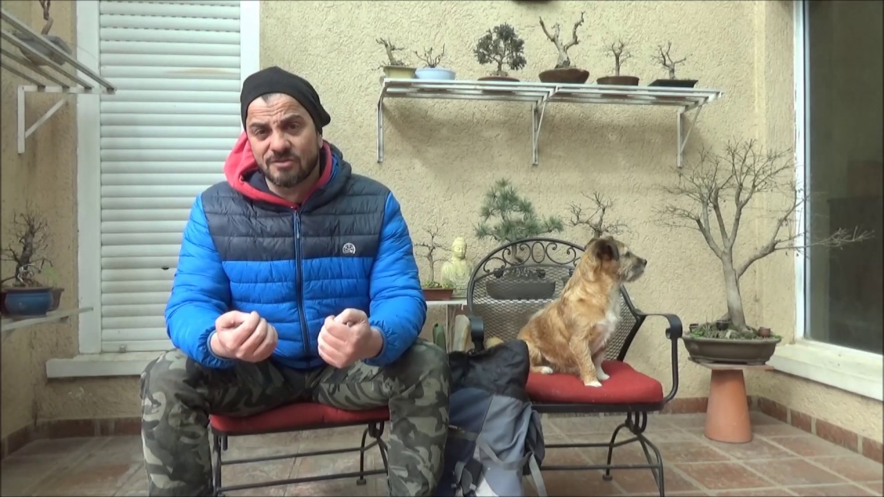 temporada de yamadori ... yamadori time !! mi equipo de extracción y consejos para su recolección!!