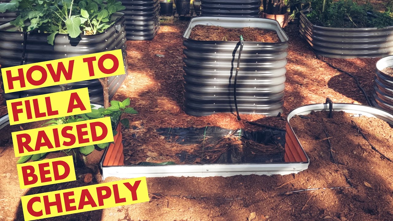 How to Fill a Raised Bed Cheaply - YouTube