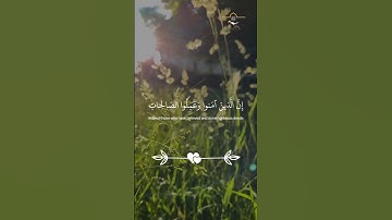 تلاوة خاشعة من القارئ (عبد الرحمن مسعد ) سورة مريم.