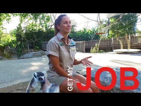 Be A Zoo Keeper | Get My Job