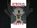 招き猫になったターボババアが可愛すぎた【ダンダダン】#ネタバレ注意#ダンダダン#アニメ #雑学 #漫画