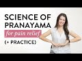 How to do Pranayama for Anxiety and Pain Relief