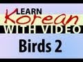 Learn Korean with Video - Birds 2