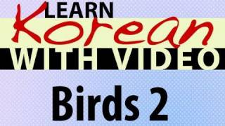Learn Korean with Video - Birds 2