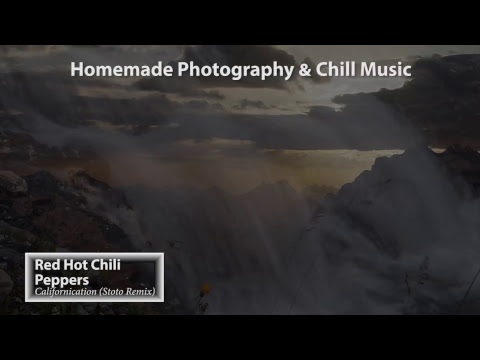 Electronic Music 24/7 Live | Deep & Tropical House | Liquid Drum & Bass | Nature Photography
