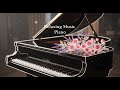 Soft Piano Music for Warm Night Ambience and Comfort ☕ Gentle Piano Instrumental Relax