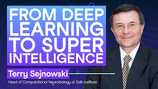 #256 From Deep Learning to SuperIntelligence | Terry Sejnowski, Head of Computational Neurobiology