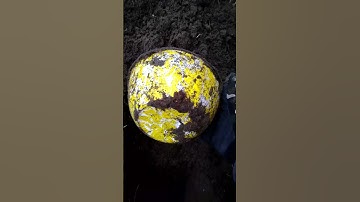 Metal Detecting a Home Site: You never know what you