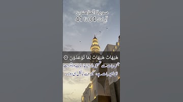 سورة المؤمنون آية ٣٤ الى ٤١ // بصوت ياسر الدوسري! #ياسر_الدوسري#تلاوة_خاشعة#قرآن#قران_كريم#السعودية