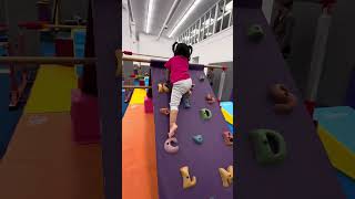 Toddler gymnastics