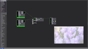 Video Image Processing in Isadrora