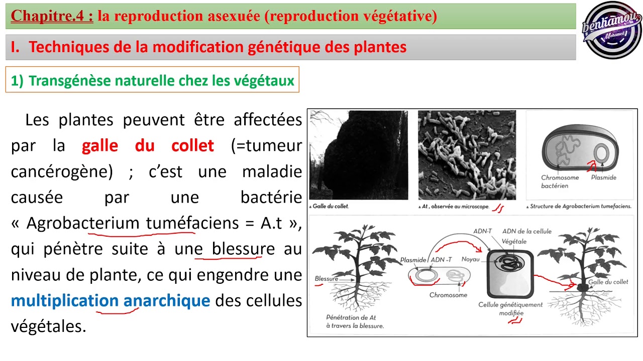 Unité.2_Chapitre.5Partie.1 Les Techniques De La Modification