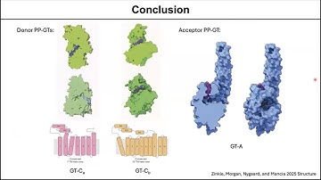 Structural insight into glycosyltransferase function
