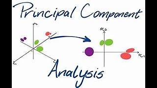 Principal Component Analysis